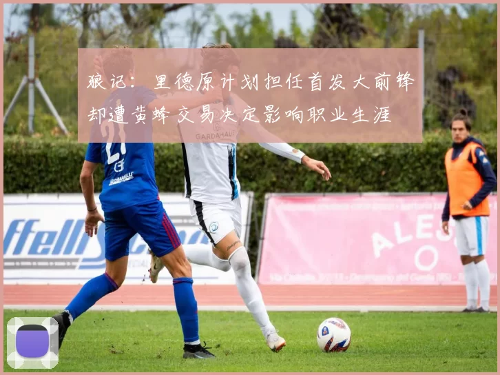 狼记：里德原计划担任首发大前锋却遭黄蜂交易决定影响职业生涯